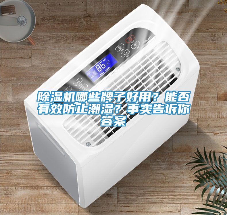 除濕機哪些牌子好用？能否有效防止潮濕？事實告訴你答案