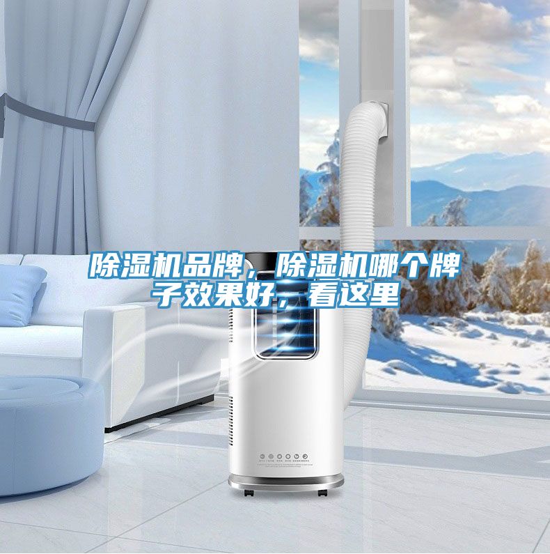 除濕機品牌，除濕機哪個牌子效果好，看這里