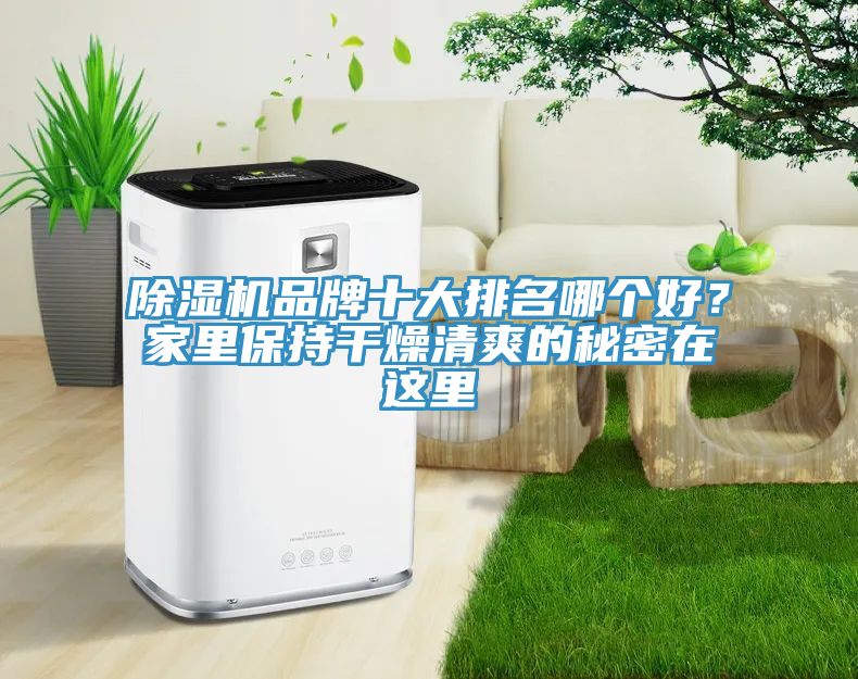 除濕機品牌十大排名哪個好？家里保持干燥清爽的秘密在這里