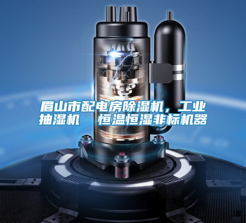 眉山市配電房除濕機(jī)，工業(yè)抽濕機(jī)  恒溫恒濕非標(biāo)機(jī)器