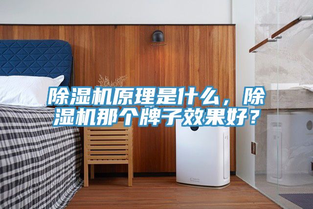 除濕機(jī)原理是什么，除濕機(jī)那個牌子效果好？
