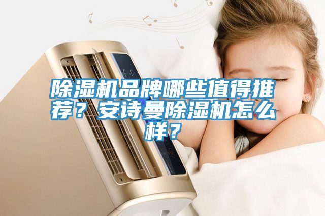 除濕機品牌哪些值得推薦？安詩曼除濕機怎么樣？