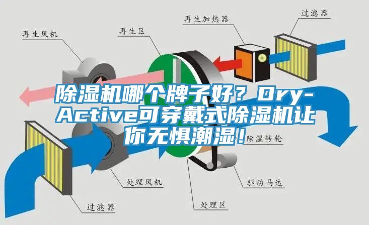 除濕機哪個牌子好？Dry-Active可穿戴式除濕機讓你無懼潮濕！