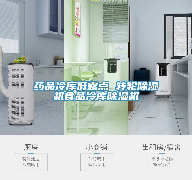 藥品冷庫低露點 轉(zhuǎn)輪除濕機(jī)食品冷庫除濕機(jī)