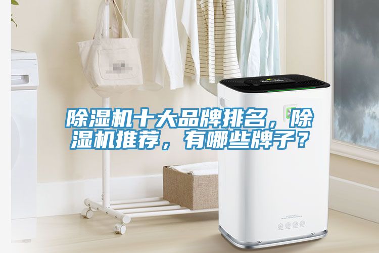 除濕機十大品牌排名，除濕機推薦，有哪些牌子？