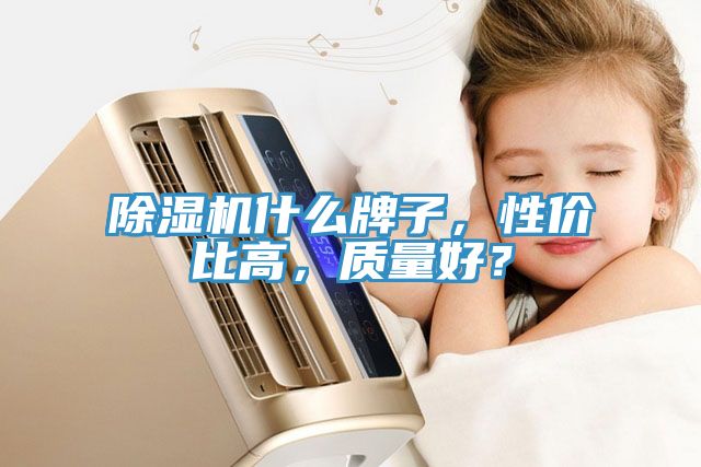 除濕機什么牌子，性價比高，質(zhì)量好？