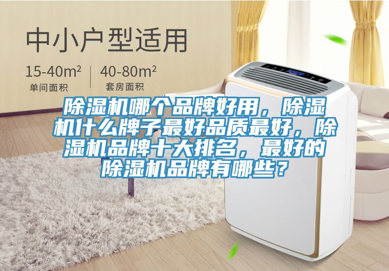 除濕機哪個品牌好用，除濕機什么牌子最好品質(zhì)最好，除濕機品牌十大排名，最好的除濕機品牌有哪些？