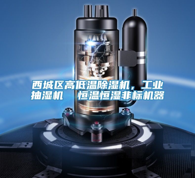 西城區(qū)高低溫除濕機，工業(yè)抽濕機  恒溫恒濕非標機器