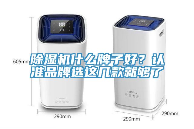 除濕機(jī)什么牌子好？認(rèn)準(zhǔn)品牌選這幾款就夠了
