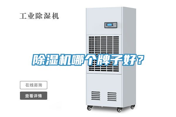 除濕機哪個牌子好？