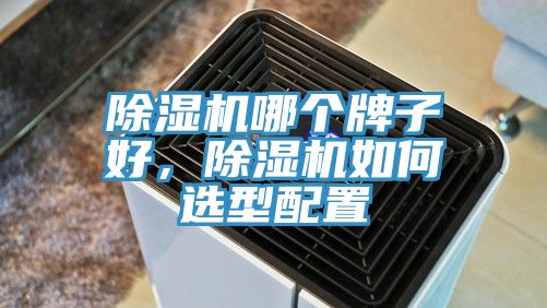 除濕機哪個牌子好，除濕機如何選型配置