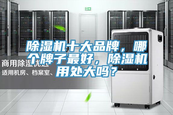 除濕機(jī)十大品牌，哪個(gè)牌子最好，除濕機(jī)用處大嗎？