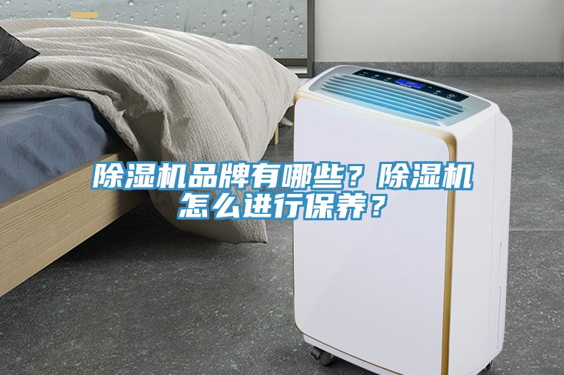 除濕機品牌有哪些？除濕機怎么進行保養(yǎng)？