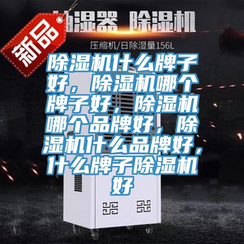除濕機(jī)什么牌子好，除濕機(jī)哪個牌子好，除濕機(jī)哪個品牌好，除濕機(jī)什么品牌好，什么牌子除濕機(jī)好