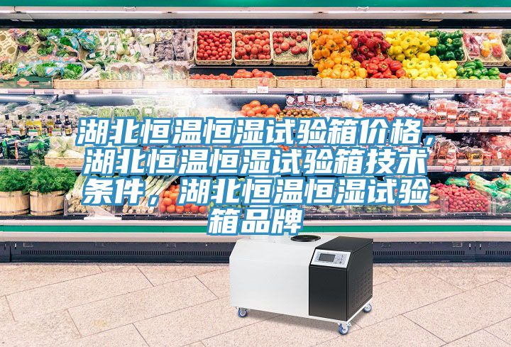 湖北恒溫恒濕試驗(yàn)箱價(jià)格，湖北恒溫恒濕試驗(yàn)箱技術(shù)條件，湖北恒溫恒濕試驗(yàn)箱品牌