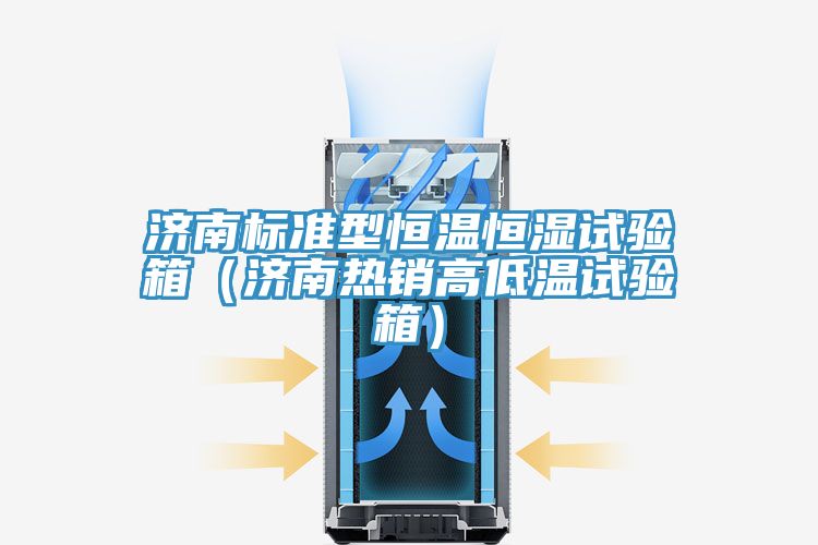 濟南標(biāo)準型恒溫恒濕試驗箱（濟南熱銷高低溫試驗箱）