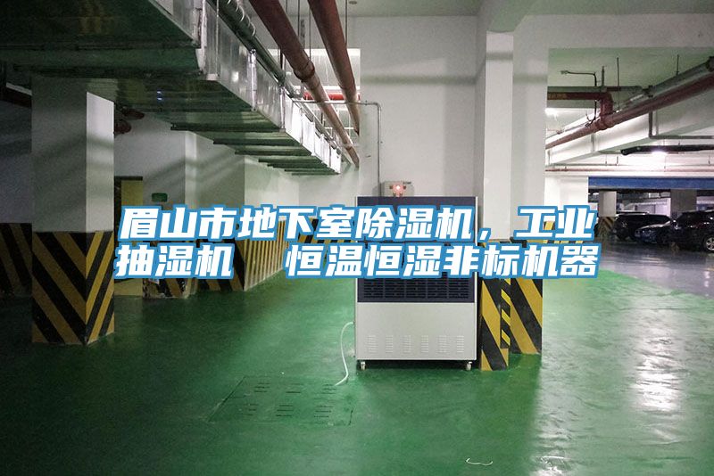眉山市地下室除濕機(jī)，工業(yè)抽濕機(jī)  恒溫恒濕非標(biāo)機(jī)器