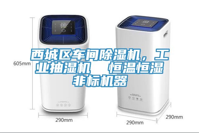 西城區(qū)車間除濕機，工業(yè)抽濕機  恒溫恒濕非標機器