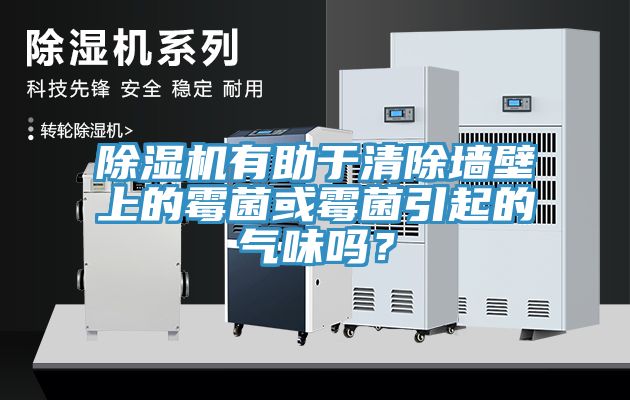 除濕機(jī)有助于清除墻壁上的霉菌或霉菌引起的氣味嗎？