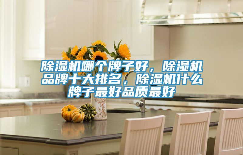 除濕機哪個牌子好，除濕機品牌十大排名，除濕機什么牌子最好品質(zhì)最好