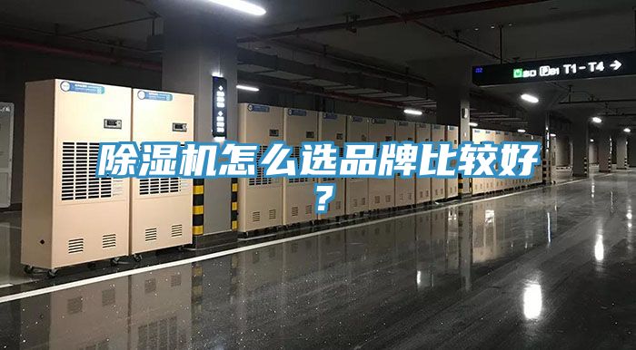 除濕機怎么選品牌比較好？