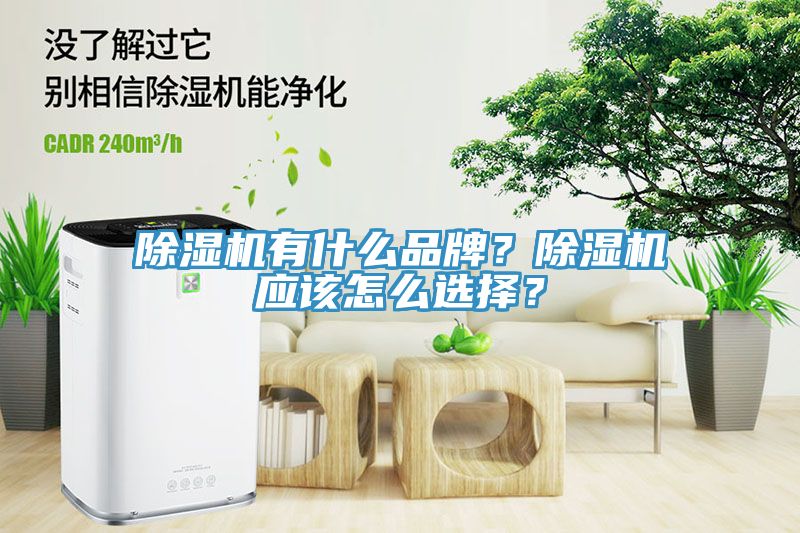 除濕機有什么品牌？除濕機應該怎么選擇？