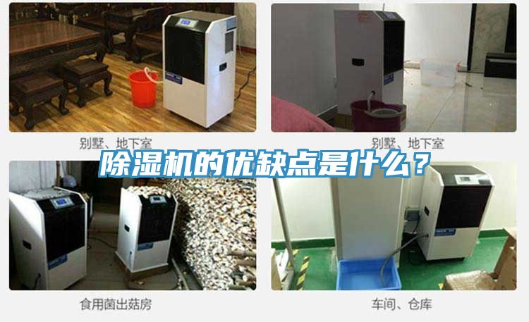 除濕機(jī)的優(yōu)缺點是什么？