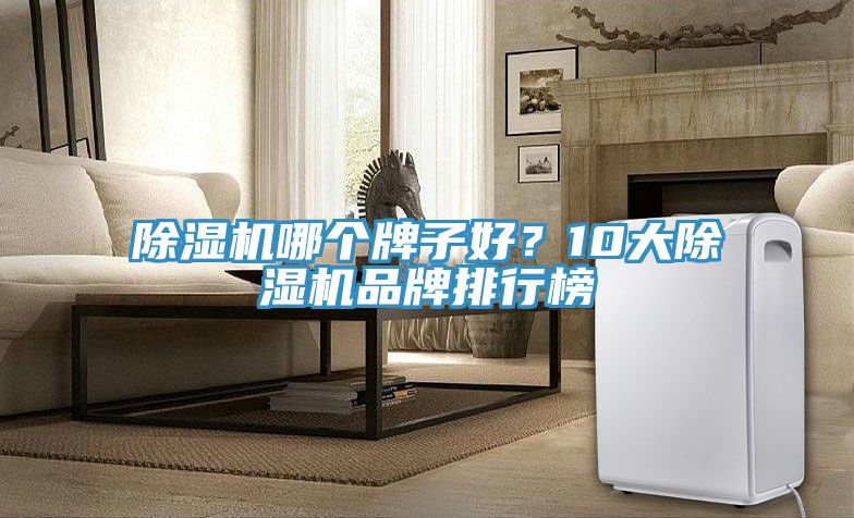除濕機哪個牌子好？10大除濕機品牌排行榜
