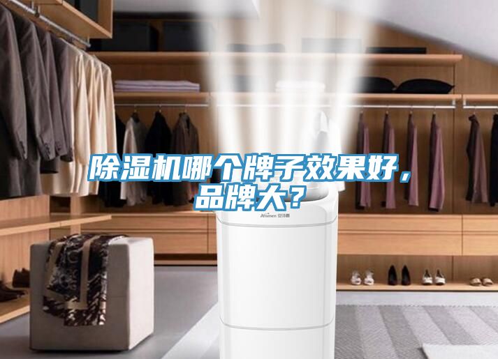 除濕機(jī)哪個牌子效果好，品牌大？