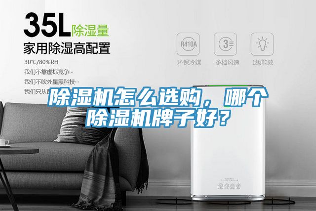 除濕機怎么選購，哪個除濕機牌子好？