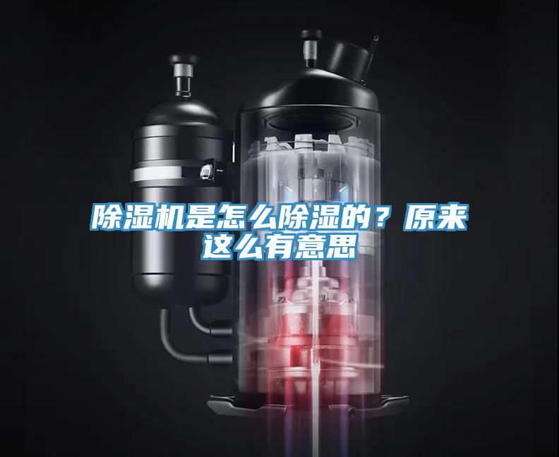 除濕機(jī)是怎么除濕的？原來這么有意思
