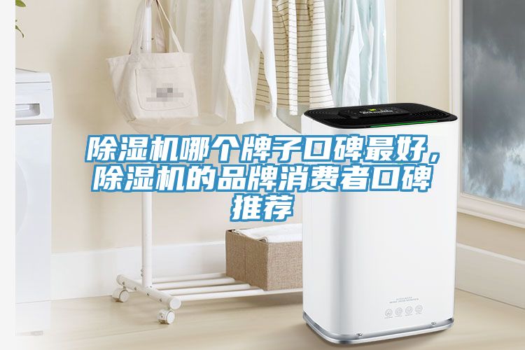 除濕機(jī)哪個(gè)牌子口碑最好，除濕機(jī)的品牌消費(fèi)者口碑推薦