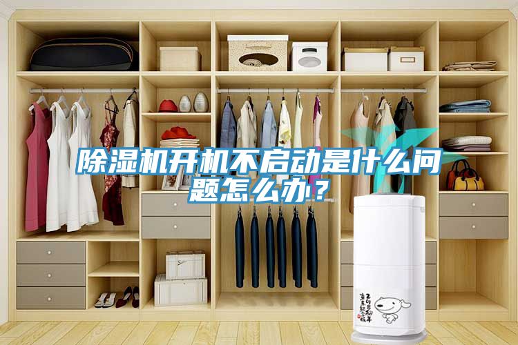 除濕機(jī)開機(jī)不啟動(dòng)是什么問題怎么辦？
