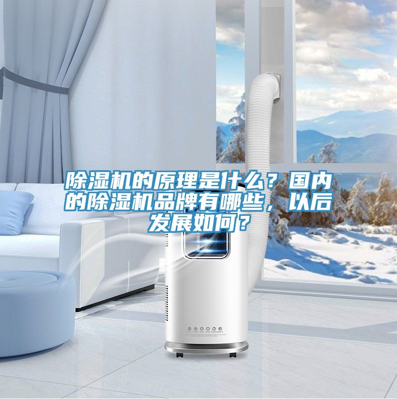 除濕機(jī)的原理是什么？國內(nèi)的除濕機(jī)品牌有哪些，以后發(fā)展如何？