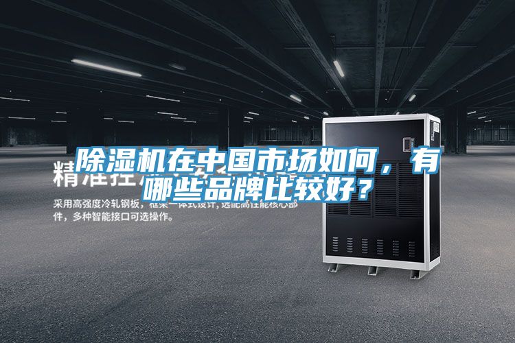 除濕機在中國市場如何，有哪些品牌比較好？