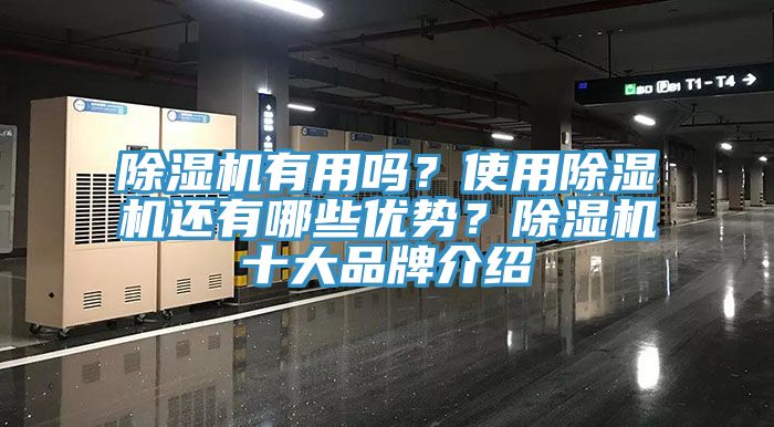 除濕機(jī)有用嗎？使用除濕機(jī)還有哪些優(yōu)勢？除濕機(jī)十大品牌介紹