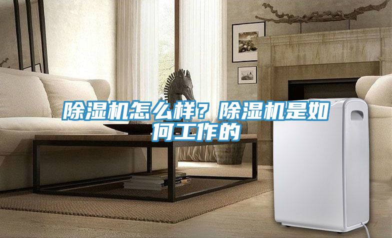 除濕機(jī)怎么樣？除濕機(jī)是如何工作的