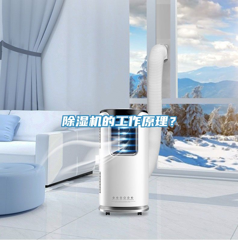 除濕機(jī)的工作原理？
