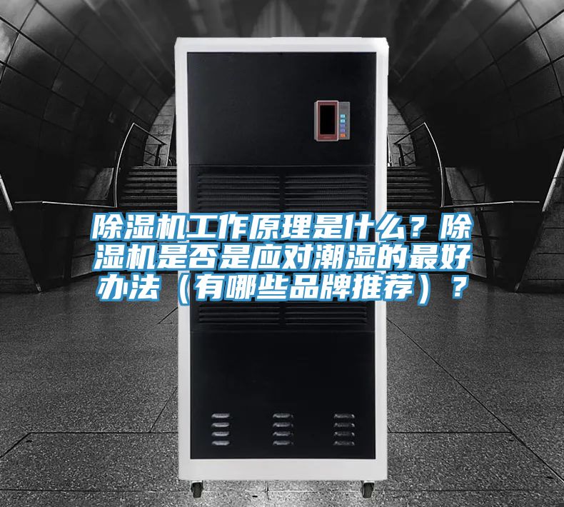 除濕機(jī)工作原理是什么？除濕機(jī)是否是應(yīng)對潮濕的最好辦法（有哪些品牌推薦）？