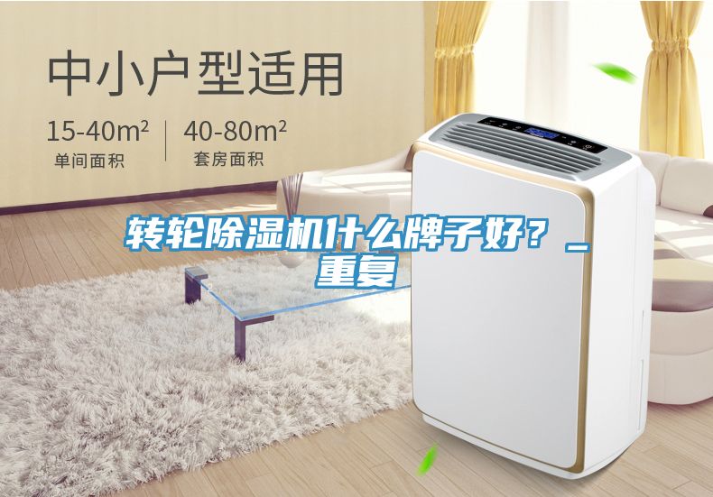 轉(zhuǎn)輪除濕機(jī)什么牌子好？_重復(fù)