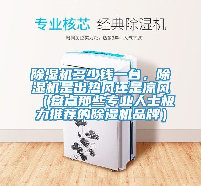 除濕機多少錢一臺，除濕機是出熱風(fēng)還是涼風(fēng)（盤點那些專業(yè)人士極力推薦的除濕機品牌）