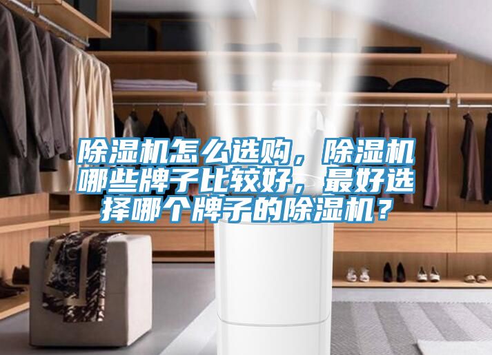 除濕機怎么選購，除濕機哪些牌子比較好，最好選擇哪個牌子的除濕機？