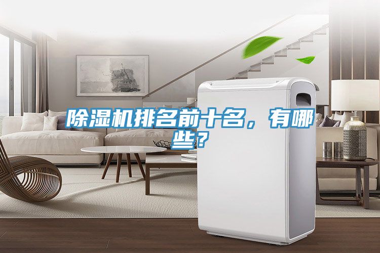 除濕機(jī)排名前十名，有哪些？