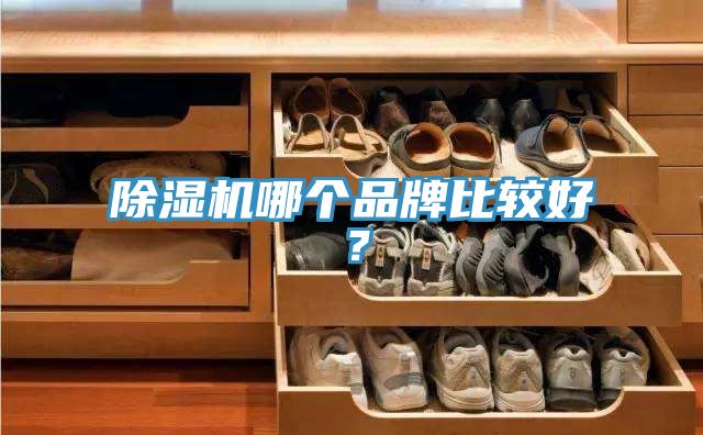 除濕機(jī)哪個(gè)品牌比較好？