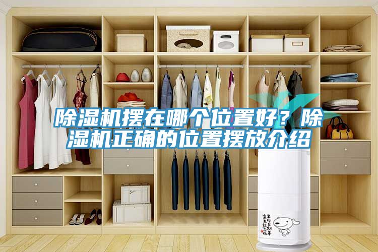 除濕機(jī)擺在哪個(gè)位置好？除濕機(jī)正確的位置擺放介紹