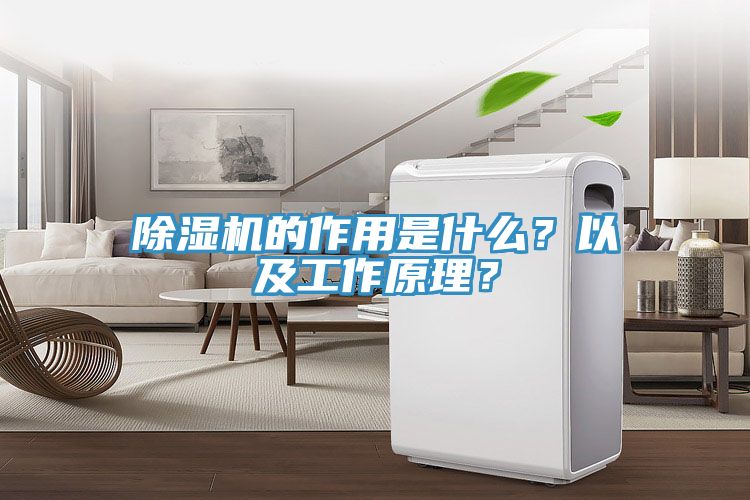 除濕機(jī)的作用是什么？以及工作原理？