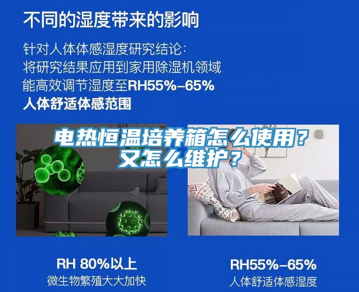 電熱恒溫培養(yǎng)箱怎么使用？又怎么維護(hù)？