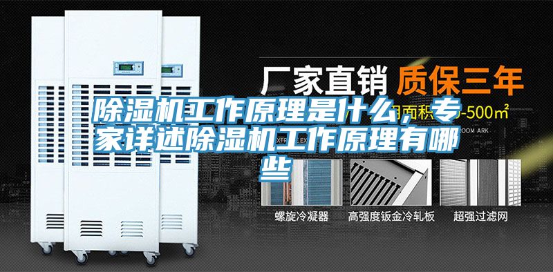 除濕機(jī)工作原理是什么，專家詳述除濕機(jī)工作原理有哪些