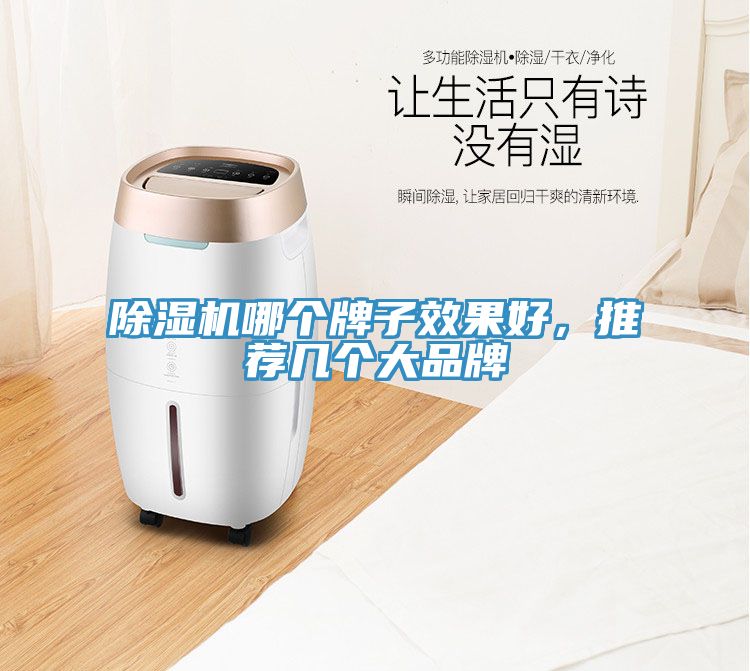 除濕機(jī)哪個牌子效果好，推薦幾個大品牌