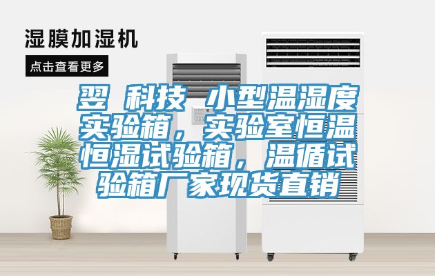 翌昇科技 小型溫濕度實驗箱，實驗室恒溫恒濕試驗箱，溫循試驗箱廠家現(xiàn)貨直銷